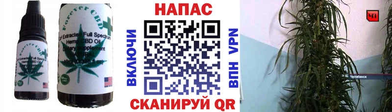 Cannafood конопля  Пионерский 