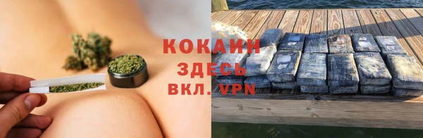 стаф Богородицк