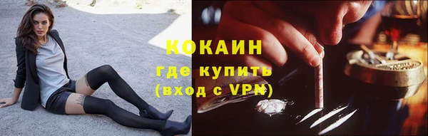 стаф Богородицк