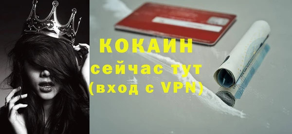 стаф Богородицк