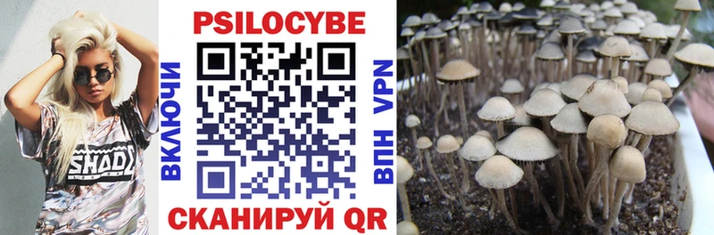 Псилоцибиновые грибы Magic Shrooms  Пионерский 