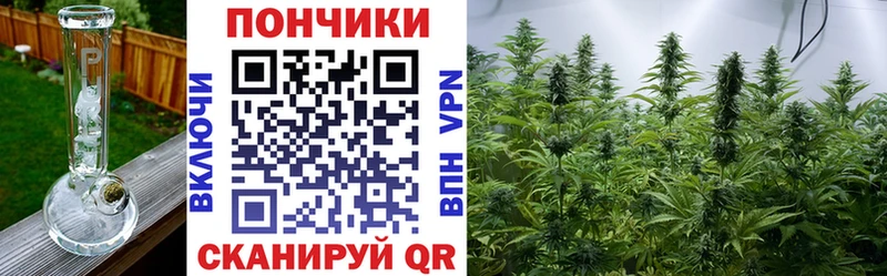 Канабис ГИДРОПОН  хочу   Пионерский 